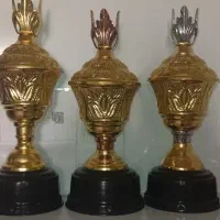 جام کاپ ورزشی