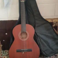گیتار معاوضه پرنده