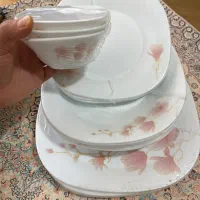 سرویس غذا خوری