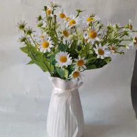 بوته گل بابونه همیشه جاودانه
