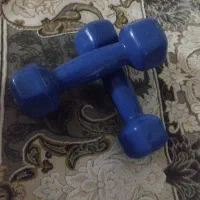 دو دنبل
