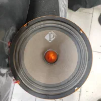 میدرنج پالواتور