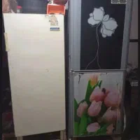 دو عدد یخجال فروشی