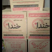 پخش تخم مرغ