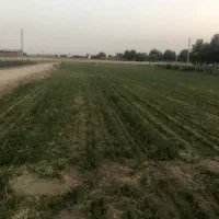 چند-قطعه-زمین-با-آب-کلی-و-خرده-با-پایین-ترین-قیمت
