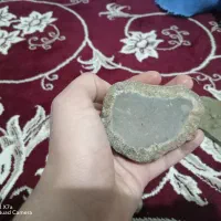 فسیل|کلکسیون اشیاء عتیقه|شیروان (خراسان), |دیوار