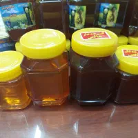 عسل خالص و ارگانیک برگرفته از دامنه سرسبز سبلان