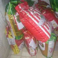 فروش برنج