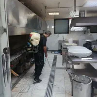سمپاشی حشرات سوسک ساس بهترین کیفیت ۱۰۰درصدتضمینی