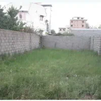 زمین
