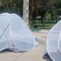 پشه بند|کوهنوردی و کمپینگ|سرپل ذهاب, |دیوار