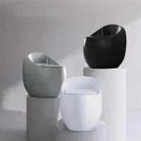 توالت زمینی و ....