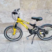 دوچرخه تایوانی سایز 20
