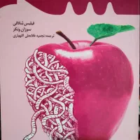 کتاب آن روی فمینیسم