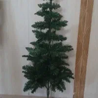 درختچه کریسمس