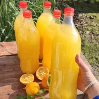 آب نارنج طبیعی