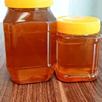 عسل طبیعی مشگین شهر