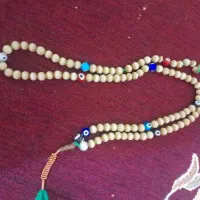 تسبح چشم ببر