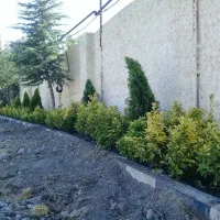 باغبانی و نگهداری باغ و....
