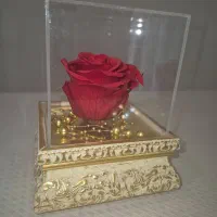 رز جاودان