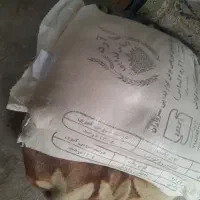 آرد سفید ۸۵۰ و تعدادی اتصالات لوله