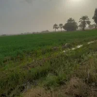 فروش-زمین-کلنگی