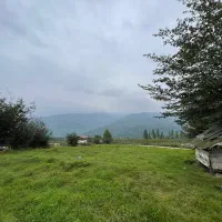 فروش-باغ-1200-متری-در-روستای-اساس-پل-سفید-سوادکوه