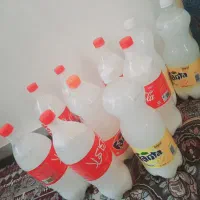دوغ شتر