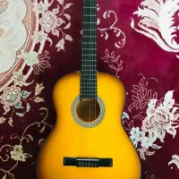 گیتار دیاموند