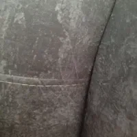 تلیسع فروشی از مادر ۴۰ کیلو شیر