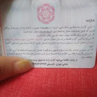 مفقود شده