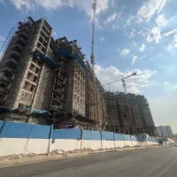 دردشت فروش / رونیکا پالاس قربانی