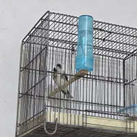 واقعا به وقت هم ارزش قائل باشیم