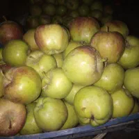 سیب وگلابی سرکه