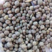 ۹۰ کیلو قره ماش بفروش میرسد