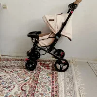 کالسکه دلیجان بنیتا درحدنو