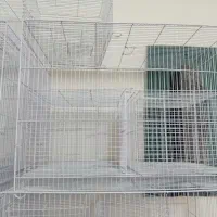 قفس جفتگاه کفتری