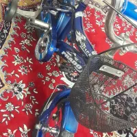 دو عدد دوچرخه