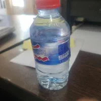 پخش آب معدنی