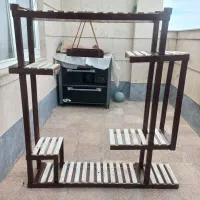 استندگل|گل و گیاه طبیعی|شیروان (خراسان), |دیوار