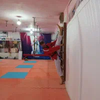 آموزش ورزشی المپیکی تکواندو به صورت خصوصی وعمومی