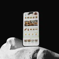 طراحی سایت حرفه ای (با نمونه کار متعدد بین المللی)