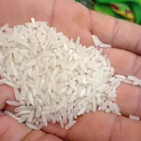 برنج پاکستانی خوش طعم