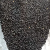 سیاهدانه چهارمحالی