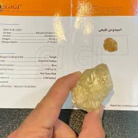 راف کنزایت طلایی درشت و کلکسیونی