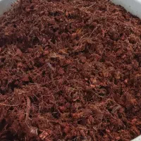 کوکوپیت چیپس برای خزنده