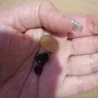 سنگ اصل