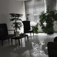 دستیار و منشی صندوقدار خانم نیازمندیم سالن زیبایی