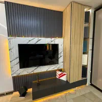 تی وی وال وکیوم