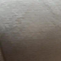 موکت